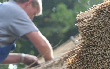 professional Cats Ash thatchers